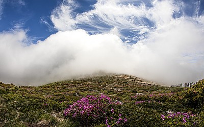 한라산  구름