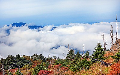 지리산 운해
