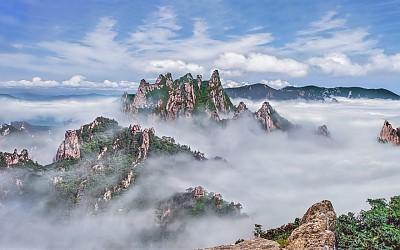 선경