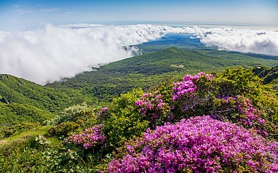 한라산