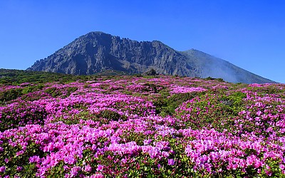 한라산