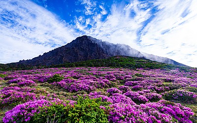 한라산