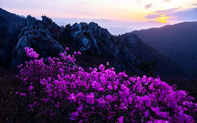 주작산