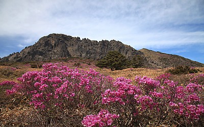 한라산