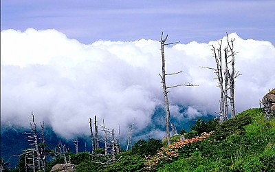지리산
