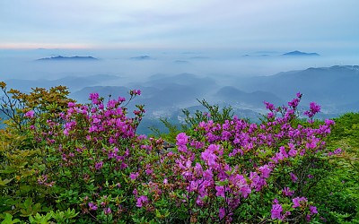 무등산