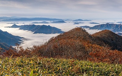 곰직이산