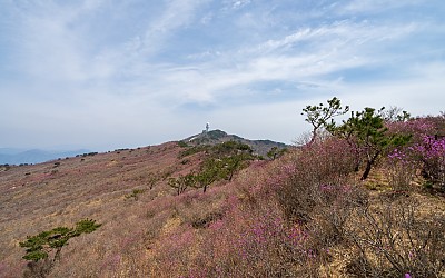 비슬산