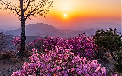 황매산