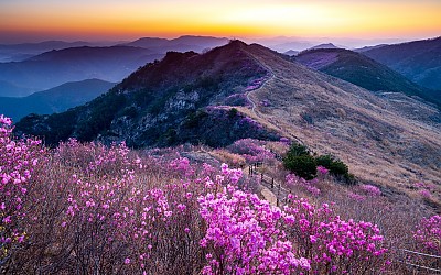 화왕산