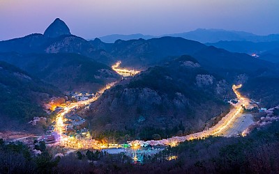 마이산 십리벚꽃
