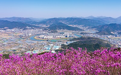 종남산