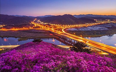 와룡산