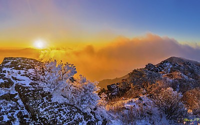 바위에 핀 설화 / 지리산
