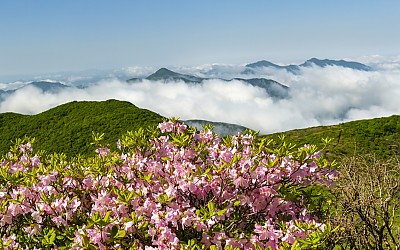덕유산