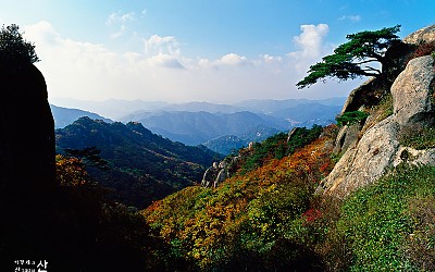 속리산 추경