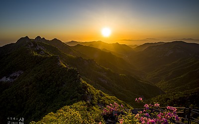 계룡산의 봄 2021