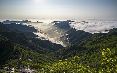 계룡산 운무