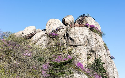 속리산의 추억