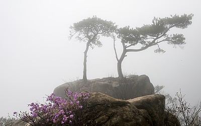 대둔산 2020. 04. 18