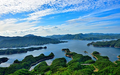 악어들과 놀다가,,,