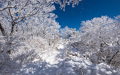 모악산 상고대