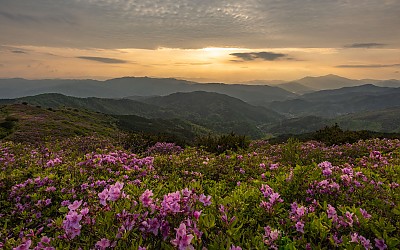 아쉬운 고동산 해넘이
