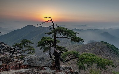 대둔산의 아침