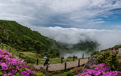 아름다운 한라산