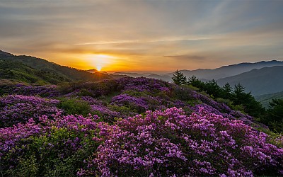아름다운 우리강산