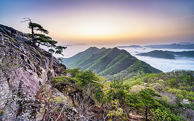 대둔산의 봄