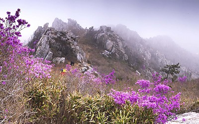 주작산 파노라마