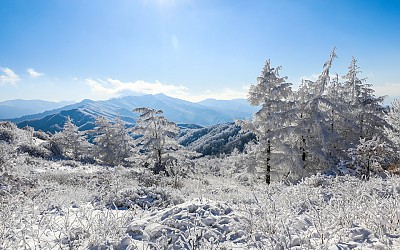 바래봉