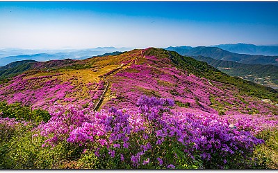황매산