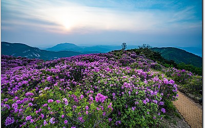 황매산