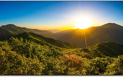 지리산의봄
