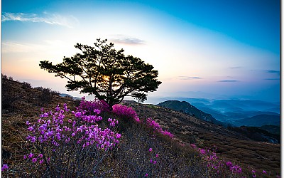 황매산