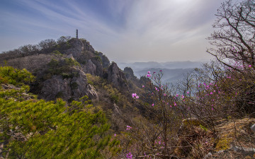 마천대를 바라보며