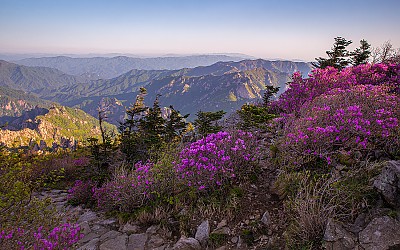 봄 산정