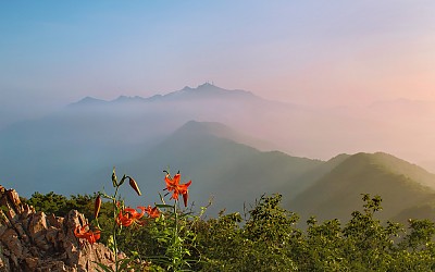 계룡산 여름