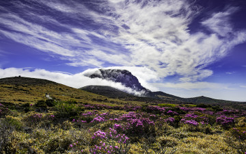 설악에서 한라를 품다.