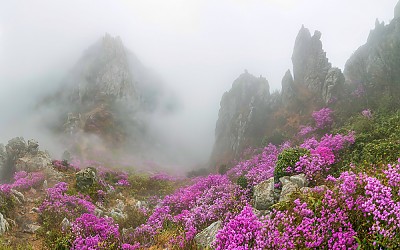 덕룡이 안개속에 갇힐때