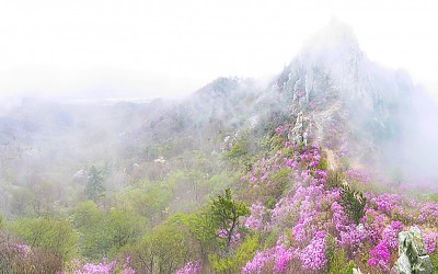 덕룡산의 봄