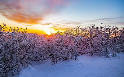 설화에 스미는 아침