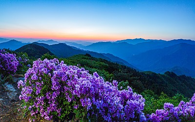 고리봉 새벽녁에