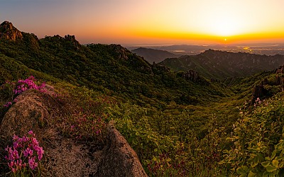 향로봉의 일물시간