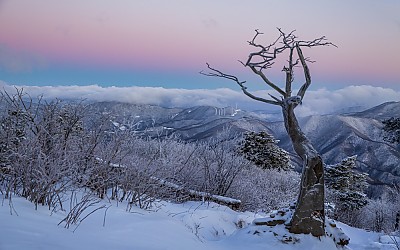 태백의 하늘빛