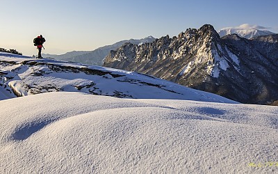 오해문 선배님께 감사드리며.
