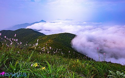 덕유산 범꼬리