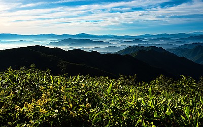 덕유능선이,
